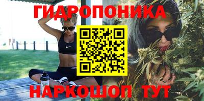 spice Бузулук
